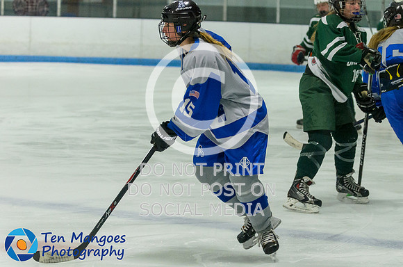 Auburn vs Oakmont Girls Varsity Hockey 2016-0010