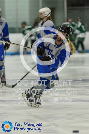 Auburn vs Oakmont Girls Varsity Hockey 2016-0002