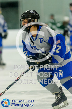 Auburn vs Oakmont Girls Varsity Hockey 2016-0007