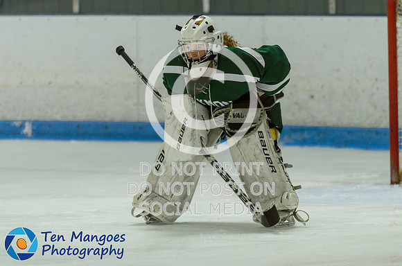 Auburn vs Oakmont Girls Varsity Hockey 2016-0011
