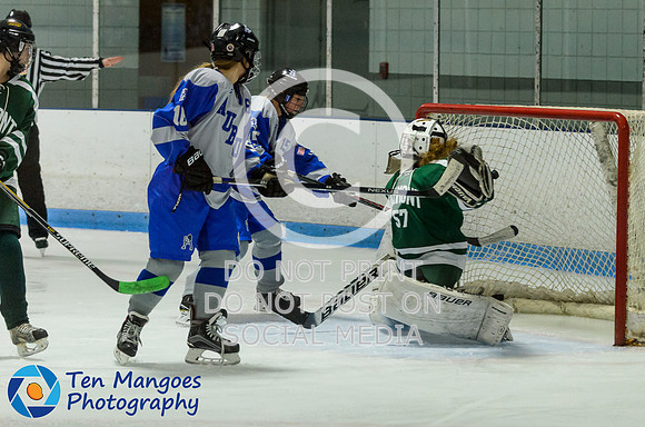 Auburn vs Oakmont Girls Varsity Hockey 2016-0013