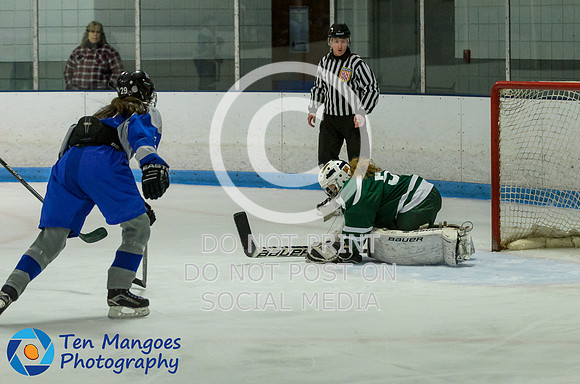 Auburn vs Oakmont Girls Varsity Hockey 2016-0017