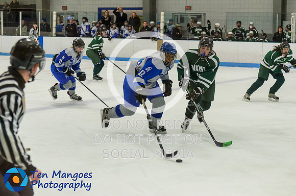 Auburn vs Oakmont Girls Varsity Hockey 2016-0022