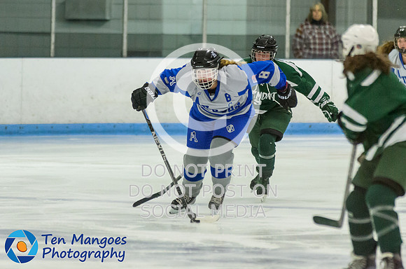 Auburn vs Oakmont Girls Varsity Hockey 2016-0030