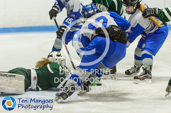 Auburn vs Oakmont Girls Varsity Hockey 2016-0029