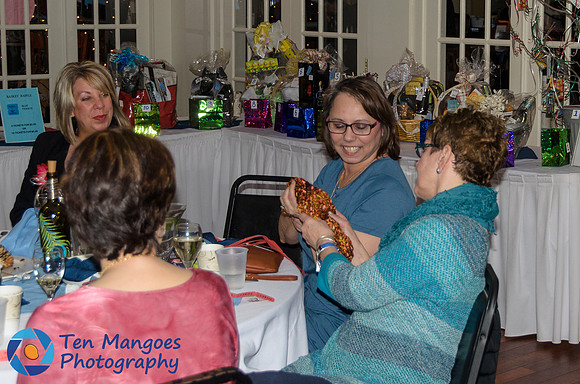 Dudley Women's Club 2017-0094