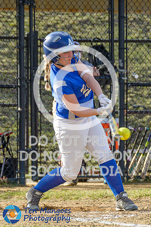 Auburn vs Leicester Girls Varsity Softball 2017-0016