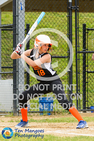 Auburn vs Gardner Softball CD2 QF 2017-0002