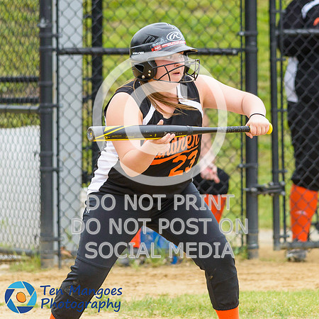Auburn vs Gardner Softball CD2 QF 2017-0035