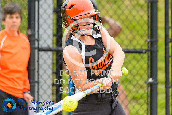 Auburn vs Gardner Softball CD2 QF 2017-0041