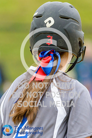Auburn vs Gardner Softball CD2 QF 2017-0090