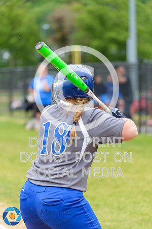 Auburn vs Gardner Softball CD2 QF 2017-0142