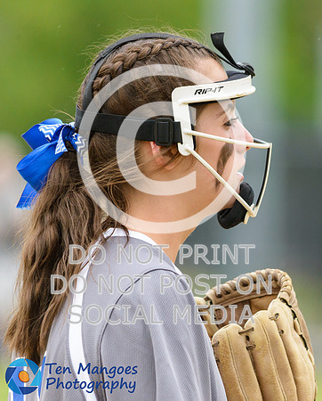 Auburn vs Gardner Softball CD2 QF 2017-0147