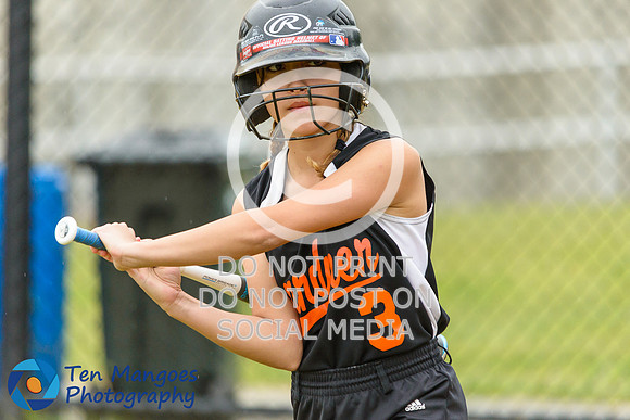 Auburn vs Gardner Softball CD2 QF 2017-0155