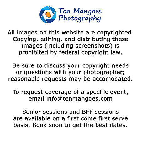 508-864-0598   info@tenmangoes.com