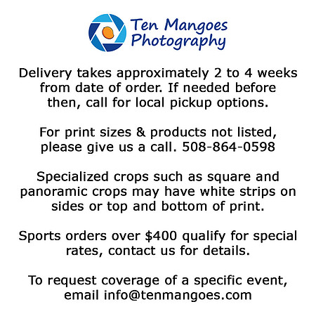 508-864-0598  info@tenmangoes.com