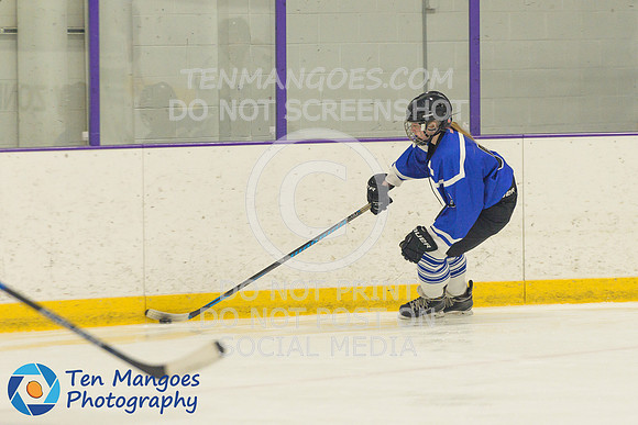 Auburn vs Leominster Girls Varsity Hockey 2018-0016