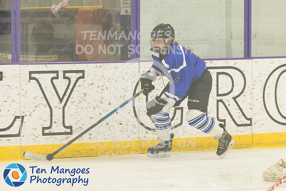 Auburn vs Leominster Girls Varsity Hockey 2018-0017