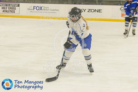 Auburn vs Leominster Girls Varsity Hockey 2018-0024