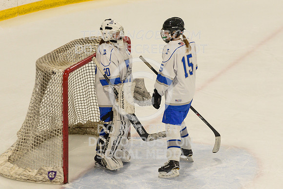 Auburn vs Leominster Girls Varsity Hockey 2018-0036