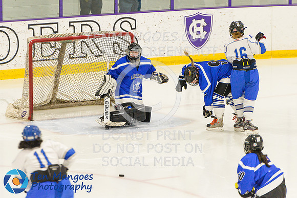 Auburn vs Leominster Girls Varsity Hockey 2018-0053