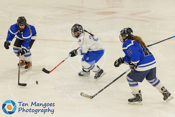 Auburn vs Leominster Girls Varsity Hockey 2018-0065