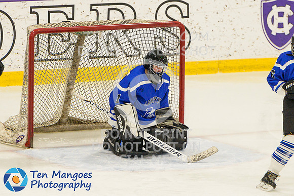 Auburn vs Leominster Girls Varsity Hockey 2018-0068