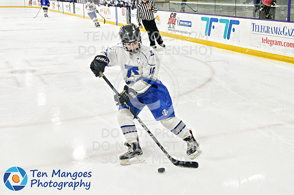 Auburn vs Leominster Girls Varsity Hockey 2018-0075-517