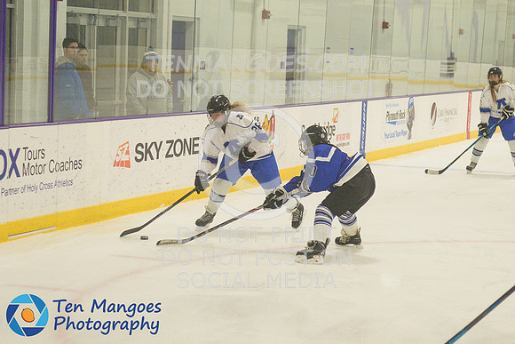 Auburn vs Leominster Girls Varsity Hockey 2018-0079