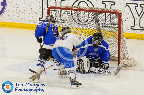 Auburn vs Leominster Girls Varsity Hockey 2018-0087