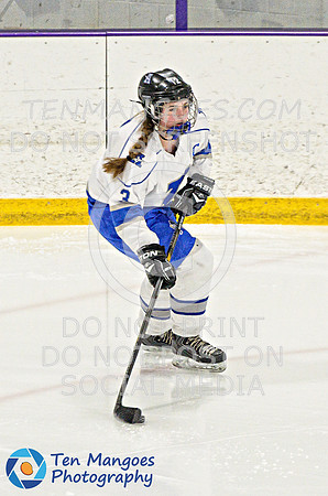 Auburn vs Leominster Girls Varsity Hockey 2018-0093-521