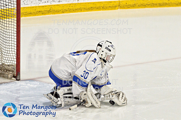 Auburn vs Leominster Girls Varsity Hockey 2018-0094-522