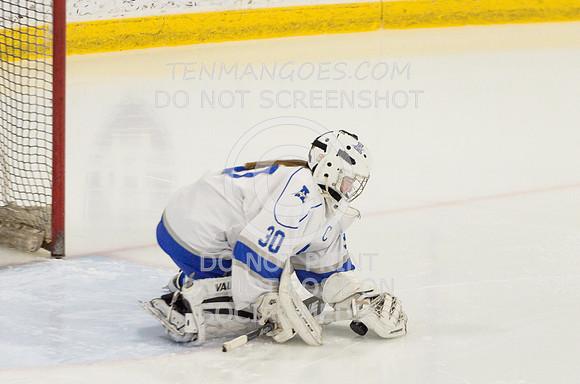 Auburn vs Leominster Girls Varsity Hockey 2018-0094