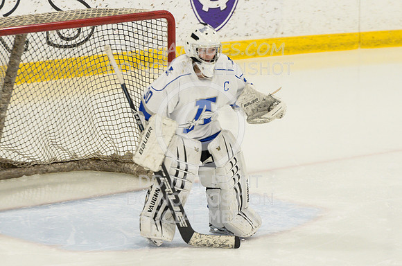 Auburn vs Leominster Girls Varsity Hockey 2018-0097