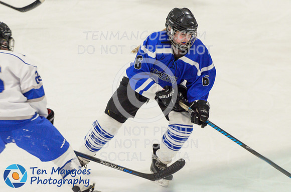 Auburn vs Leominster Girls Varsity Hockey 2018-0098