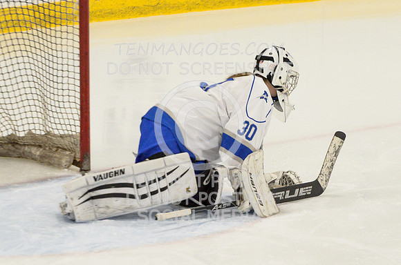 Auburn vs Leominster Girls Varsity Hockey 2018-0101