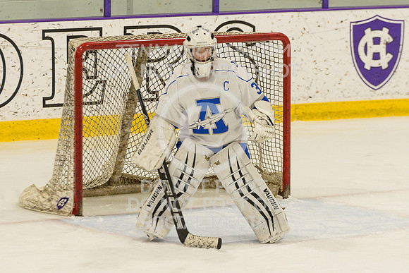 Auburn vs Leominster Girls Varsity Hockey 2018-0043
