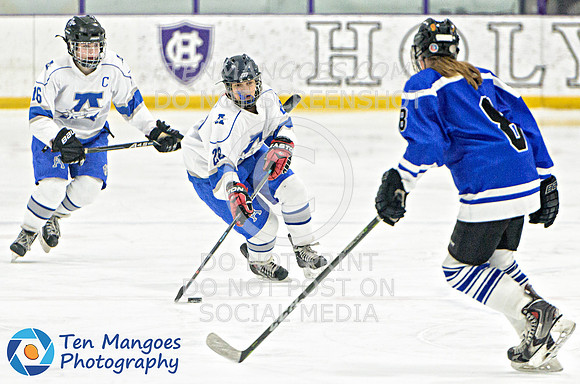 Auburn vs Leominster Girls Varsity Hockey 2018-0078-518