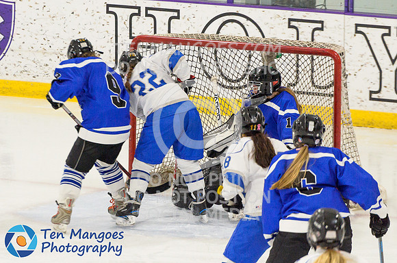 Auburn vs Leominster Girls Varsity Hockey 2018-0088