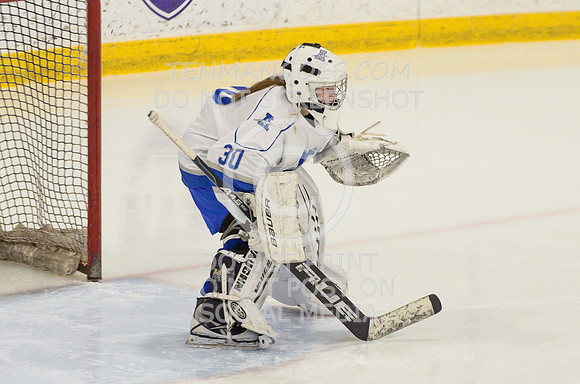Auburn vs Leominster Girls Varsity Hockey 2018-0095