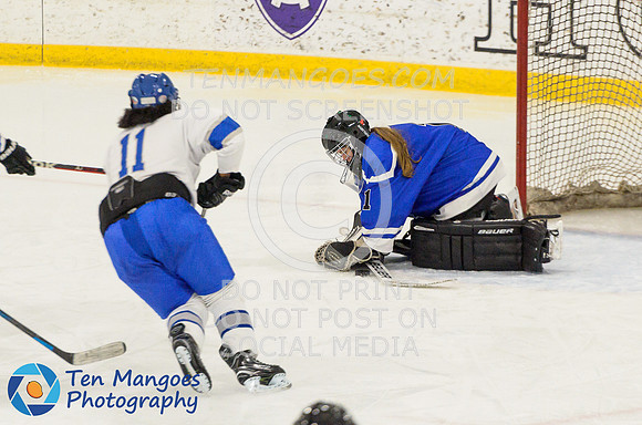 Auburn vs Leominster Girls Varsity Hockey 2018-0096