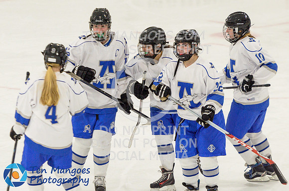Auburn vs Leominster Girls Varsity Hockey 2018-0099
