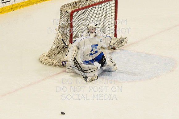 Auburn vs Leominster Girls Varsity Hockey 2018-0041