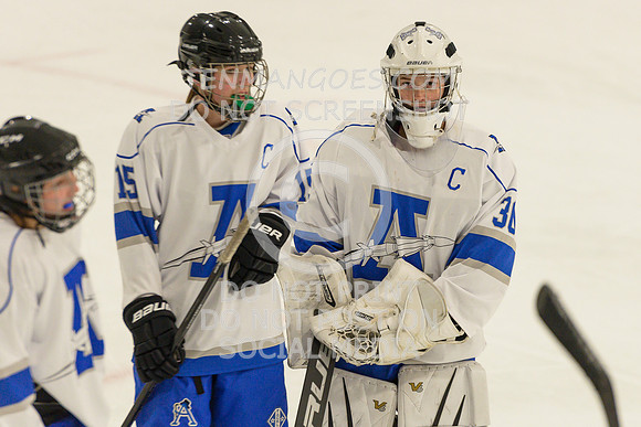 Auburn vs Leominster Girls Varsity Hockey 2018-0046