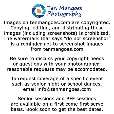 508-864-0598  info@tenmangoes.com