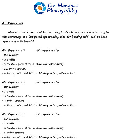 Mini Experience