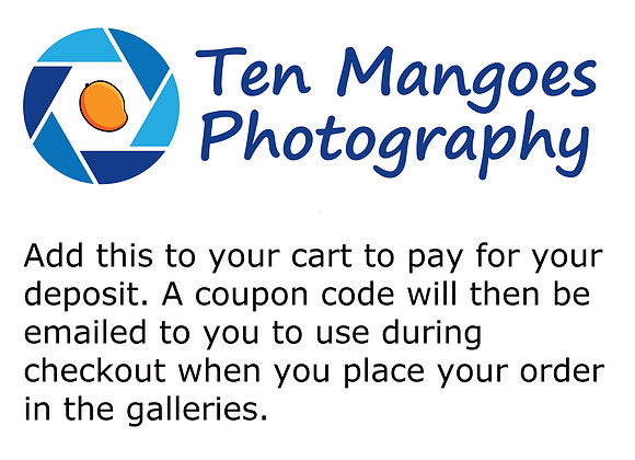 HS Theatre Galleries Deposit